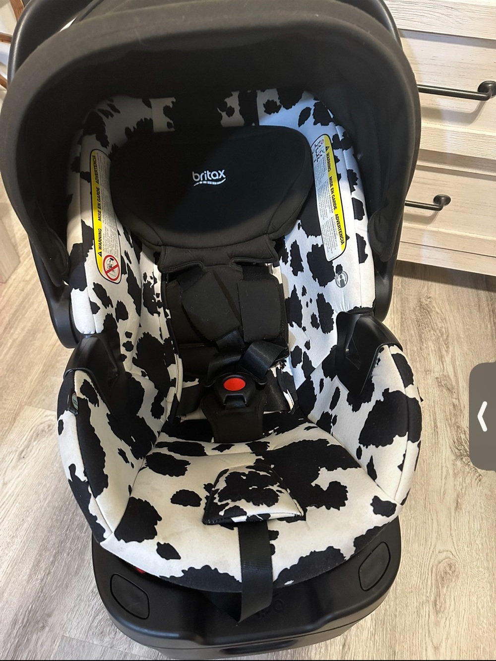 RARE Britax Infant Car Seat with Black & White Cow Print